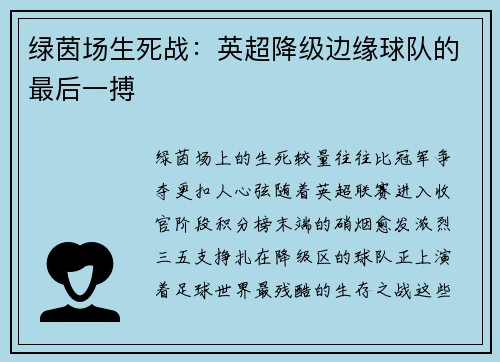 绿茵场生死战：英超降级边缘球队的最后一搏